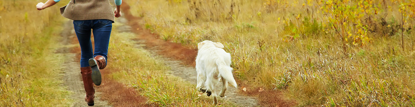 In-home Dog Training and Puppy Training in Vermont and New Hampshire