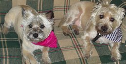 Gary and Bonnie B.