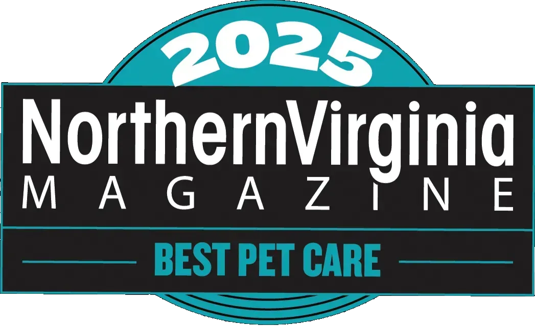 BestPetCare2025