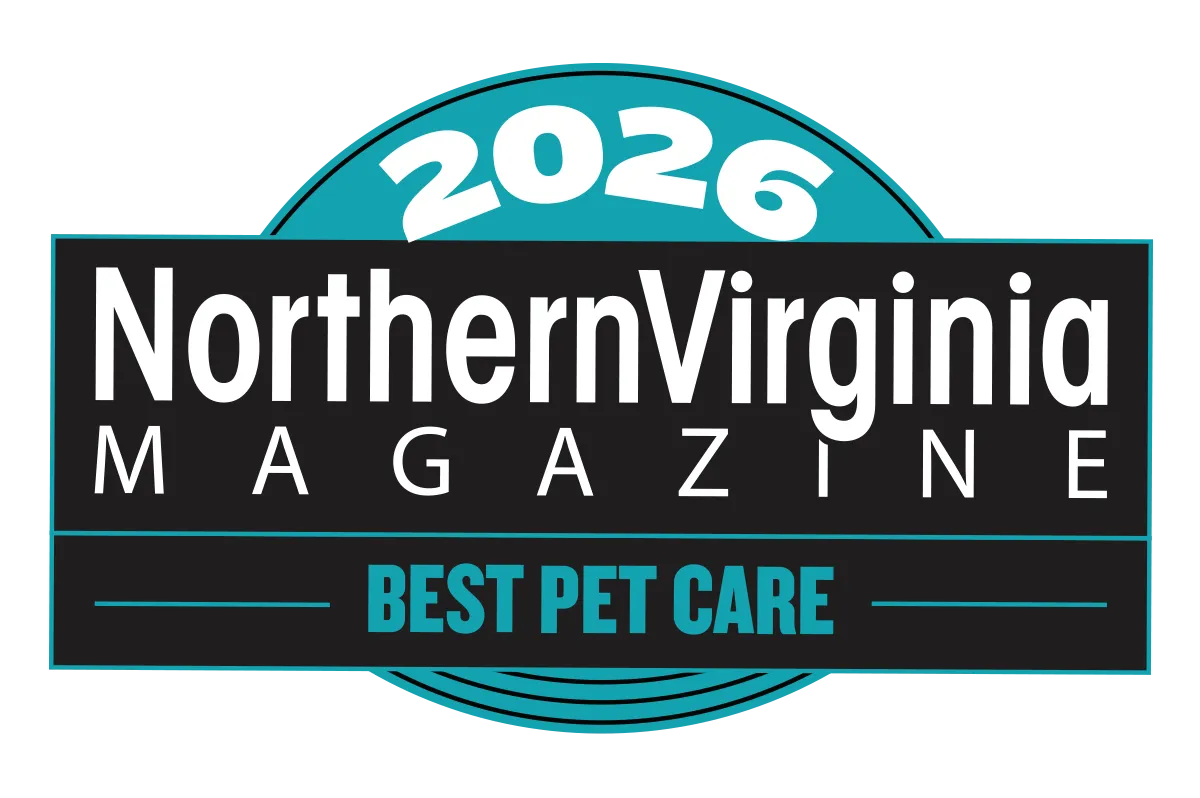 best of NOVA 2026