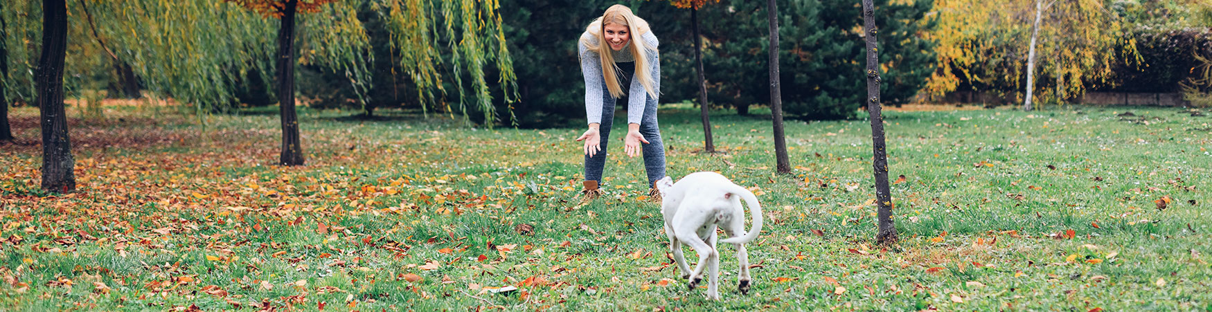Dog Training in PORTLAND, OREGON