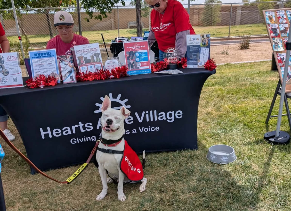 Amanda Striker volunteers with Hearts Alive Village